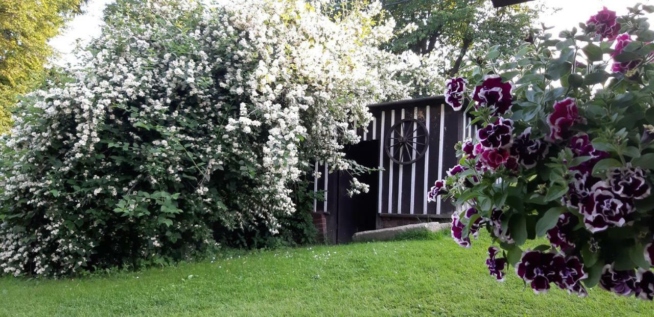 Ubytování Monika Paseky nad Jizerou Exterior foto