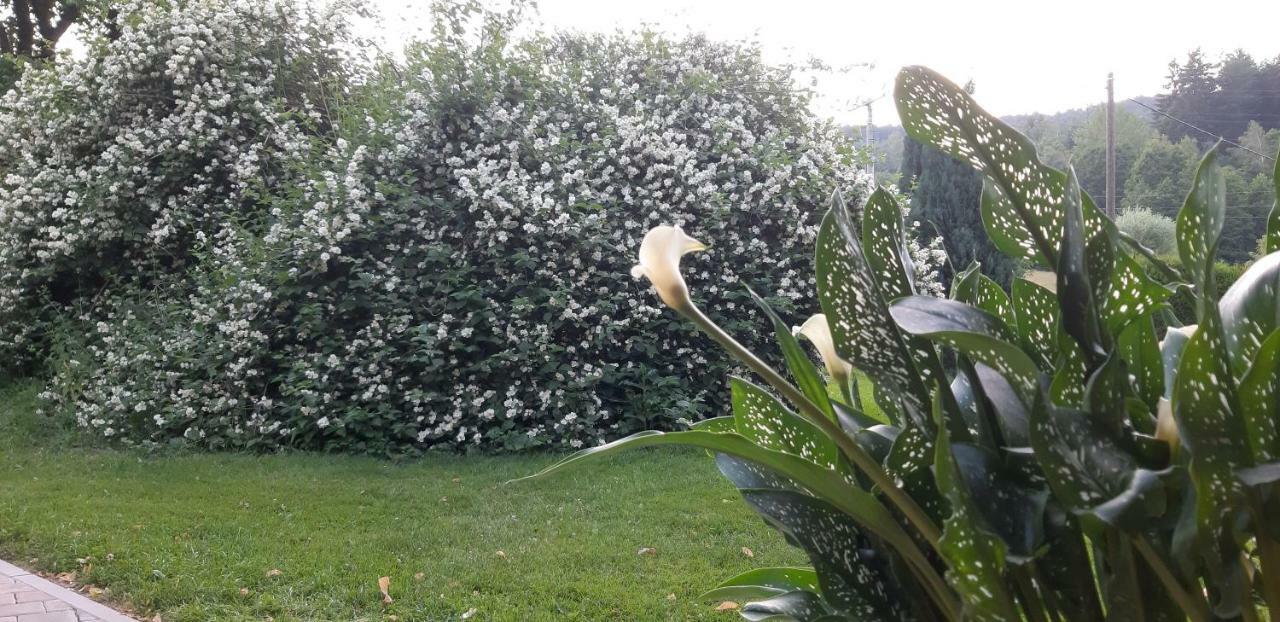 Ubytování Monika Paseky nad Jizerou Exterior foto